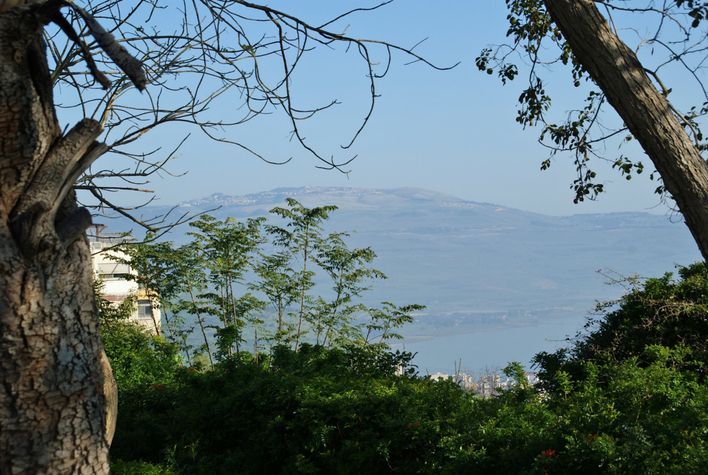 Safed näkyy taustalla yli 800 m korkeudessa.